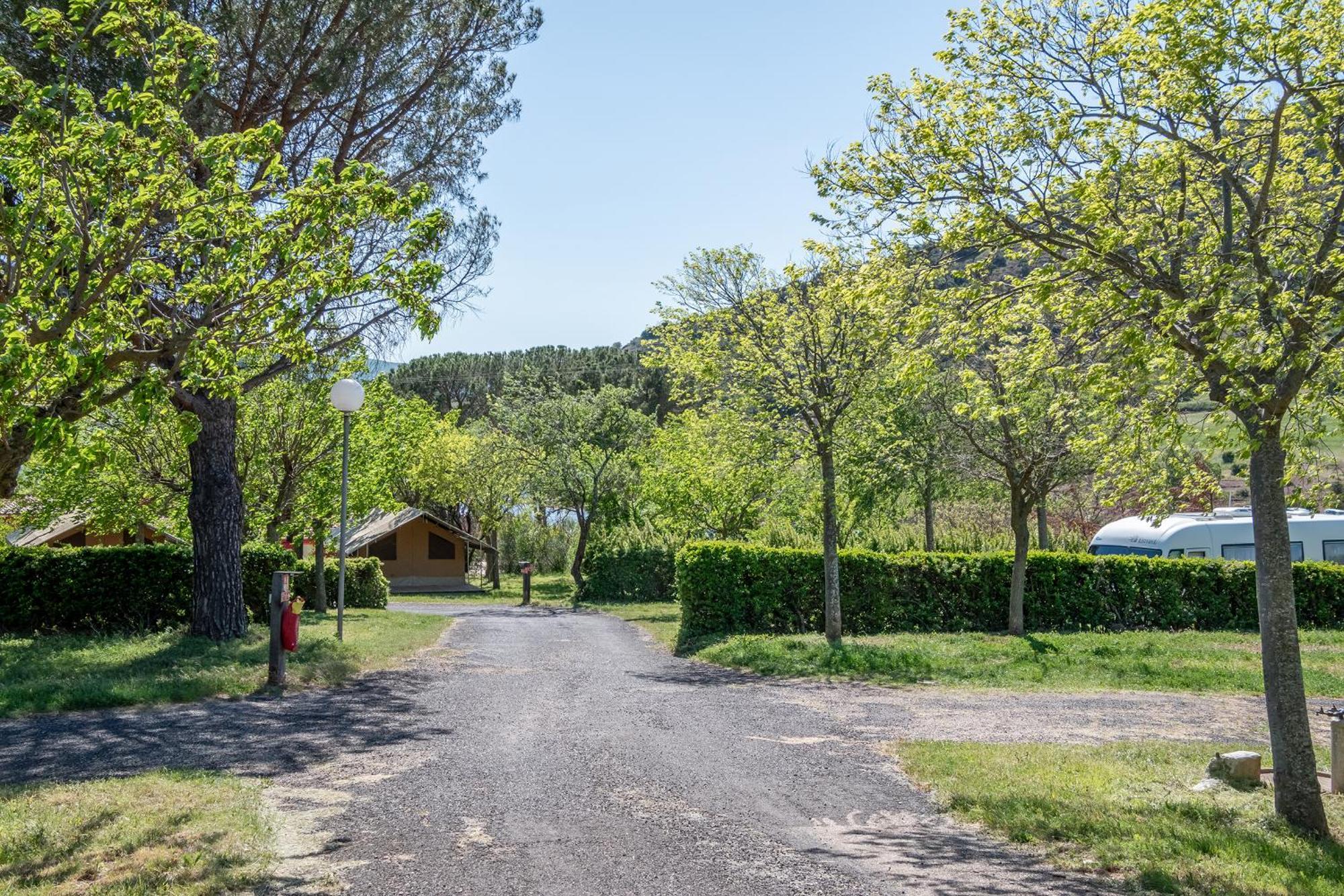 Camping Onlycamp Les Vailhes Lodève Kamer foto